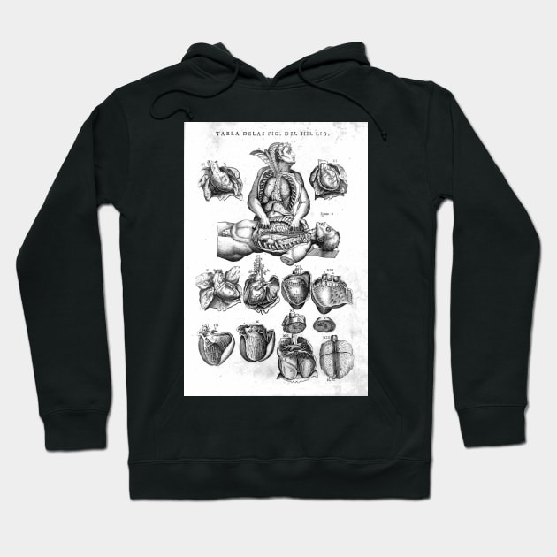 The Human Heart, Juan Valverde de Amusco, 1588 Hoodie by nickedenholm